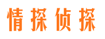 定兴外遇出轨调查取证